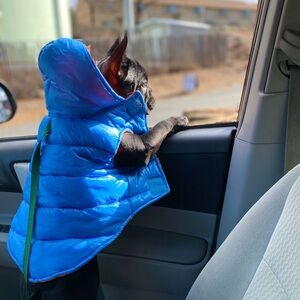 Dog Puffer Vest